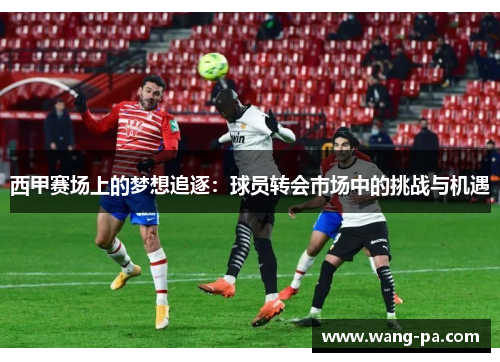 西甲赛场上的梦想追逐：球员转会市场中的挑战与机遇