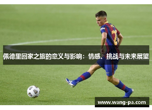 佩德里回家之旅的意义与影响：情感、挑战与未来展望