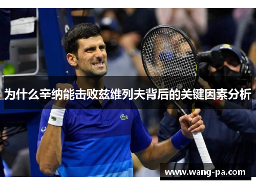 为什么辛纳能击败兹维列夫背后的关键因素分析 为什么辛纳能击败兹维列夫背后的关键因素分析