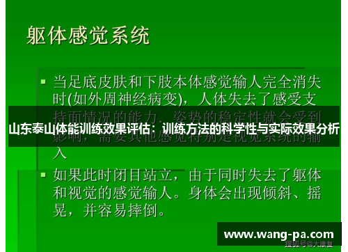 山东泰山体能训练效果评估：训练方法的科学性与实际效果分析