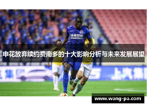 申花放弃续约费南多的十大影响分析与未来发展展望