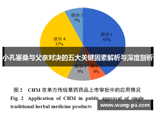 小孔塞桑与父亲对决的五大关键因素解析与深度剖析