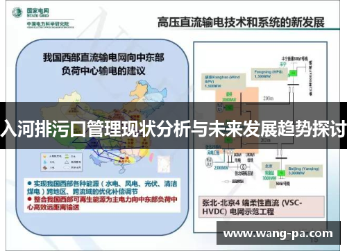 入河排污口管理现状分析与未来发展趋势探讨