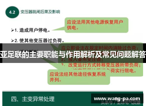 亚足联的主要职能与作用解析及常见问题解答