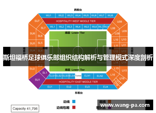 斯坦福桥足球俱乐部组织结构解析与管理模式深度剖析