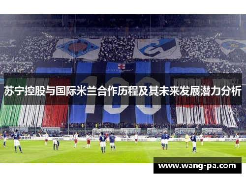 苏宁控股与国际米兰合作历程及其未来发展潜力分析