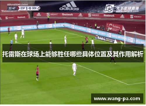托雷斯在球场上能够胜任哪些具体位置及其作用解析