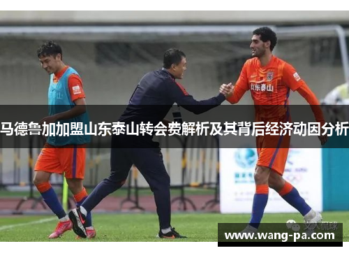 马德鲁加加盟山东泰山转会费解析及其背后经济动因分析