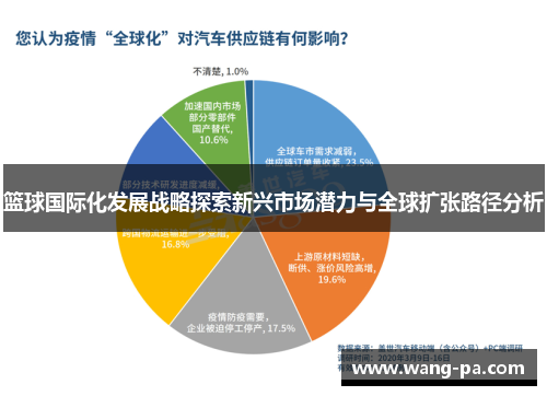 篮球国际化发展战略探索新兴市场潜力与全球扩张路径分析