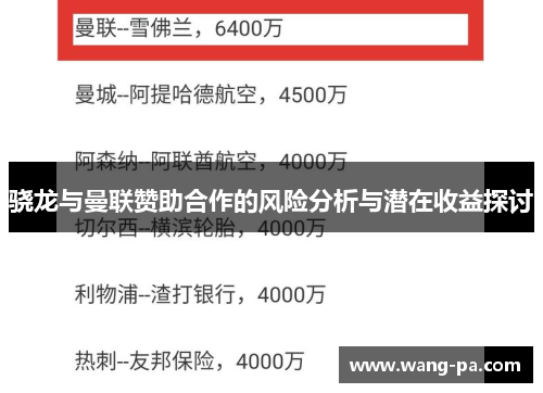 骁龙与曼联赞助合作的风险分析与潜在收益探讨