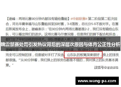 魏震禁赛处罚引发热议背后的深层次原因与体育公正性分析