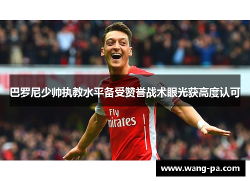 巴罗尼少帅执教水平备受赞誉战术眼光获高度认可 巴罗尼少帅执教水平备受赞誉战术眼光获高度认可